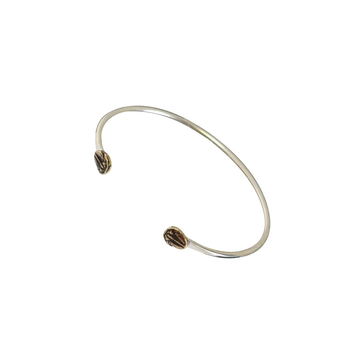 Brass Ecdysis Cuff Bracelet